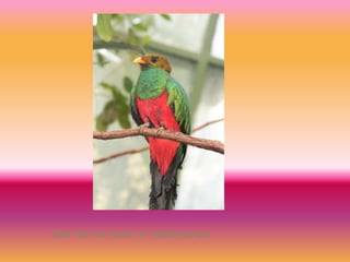 Este foto me gusta un poquito porque