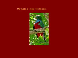 Me gusta el lugar donde esta