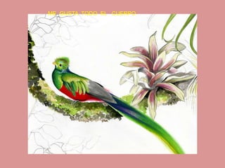 ME GUSTA TODO EL CUERPO