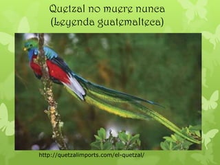 http://quetzalimports.com/el-quetzal/
Quetzal no muere nunca
(Leyenda guatemalteca)
 
