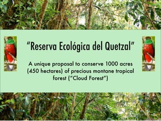 “Reserva Ecológica del Quetzal”
 A unique proposal to conserve 1000 acres
(450 hectares) of precious montane tropical
          forest (“Cloud Forest”)
 