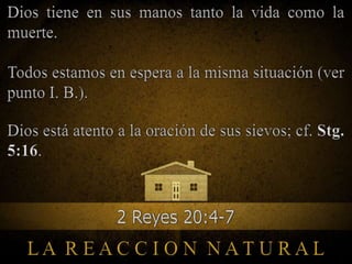 ¿QUE VIERON EN TU CASA? Primera Parte