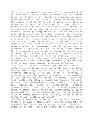 El arbusto se removió otra vez. ¿Usted comprenderá si
le digo que Bárbaro estaba gastando toda su fuerza
vital de 17 años en el simplísimo propósito de hacer
mover ese arbusto a su voluntad? Dentro de mí crujieron
las carnes y los barros de ese valle, y María lata ya
estaba escondiendo la cabeza en la tierra. Bárbaro
profirió una maldición a los cielos y se aferró en
cambio a esa tierra, como si detrás y dentro de él un
huracán luchara por desplazarlo. El arbusto viró de su
rojo pálido a un negro encendido, sacudió violentamente
sus ramitas y avanzó unos centímetros. Dio otro remezón
y se plegó en sí mismo para luego erizarse íntegro, y
como un puerco rabioso se fue contra Bárbaro. Yo yo me
negué a ver nada. Bárbaro alcanzó a dar un aullido de
triunfo antes de comprender que la planta no se
detendría a sus pies, ya que, de hecho, cargó contra
él, lo derrumbó y de un salto se sembró en su estómago.
Mi amigo abrió brazos y piernas y se relajó en una
forma total, murmullando ríos de delicia, pues sus
entrañas, al rendir sus jugos a la planta aquella, le
habían hecho brotar unas flores rosadas y espesas (que
diría la gente años después) producían borrachera.
Yo dije, y retumbó: "Córtala ya, se secó, no miro
más", e imaginé lo que sería correr llevando a la dulce
rendida María Bayo de la mano, hasta la ceiba a
nuestras espaldas, y de allí hasta la montaña, a
refugiar su desnudez entre las sombras y los remansos
de los yarumos blancos. Pensé "correremos hasta que
huya nuestro espíritu, y cuando nos regrese ventisco,
renovado, nos detendremos a comer buenos limones, ya
con (tranquilos) aires de preocupación. Después
subiremos las colinas que son como 8 y medio pares de
senos, mirando atrás a cada rato, exprimiendo, el color
rugoso del aire en la luminosidad del valle. Concluí:
"allá estaremos seguras, y una vez más, la cabana de la
Novena Colina, recibirá huéspedes".
Lo que me demoré en pensar esto no fue sino voltear y
tenderle mi mano a María Bayo. Pero me equivocaba en
cuanto a los límites de su horror. No se contentó con
engarfiar mi mano, sino que trepó por mi brazo hasta
 