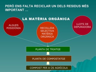PERÒ ENS FALTA RECICLAR UN DELS RESIDUS MÉS IMPORTANT … LA MATÈRIA ORGÀNICA ALGUES POSIDÒNIA LLOTS DE DEPURADORA RECOLLIDA SELECTIVA MATÈRIA ORGÀNICA PLANTA DE TRIATGE PLANTA DE COMPOSTATGE COMPOST PER A ÚS AGRÍCOLA 