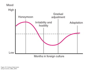 Project management week 10