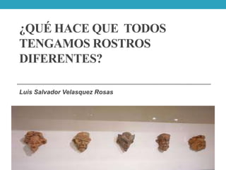 ¿QUÉ HACE QUE TODOS
TENGAMOS ROSTROS
DIFERENTES?
Luis Salvador Velasquez Rosas

 