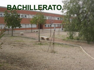 BACHILLERATO.
 