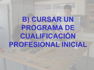 B) CURSAR UN
  PROGRAMA DE
  CUALIFICACIÓN
PROFESIONAL INICIAL
 