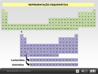 X SAIR
REPRESENTAÇÃO ESQUEMÁTICA
Lantanídios
Actinídios
Navegando no módulo
 