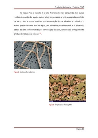 Produção de iogurte - Projecto FEUP
Página 10
No nosso País, o iogurte é o leite fermentado mais consumido. Em outras
regiões do mundo são usados outros leites fermentados: o kefir, preparado com leite
de vaca, cabra e outras espécies, por fermentação láctica, alcoólica e carbónica; o
komis, preparado com leite de égua, por fermentação semelhante; e o babeurre,
obtido do leite semidesnatado por fermentação láctica e, considerado principalmente
produto dietético para crianças [3]
.
Figura 1 – Lactobacillus bulgaricus
Figura 2 - Streptococcus thermophilus
 