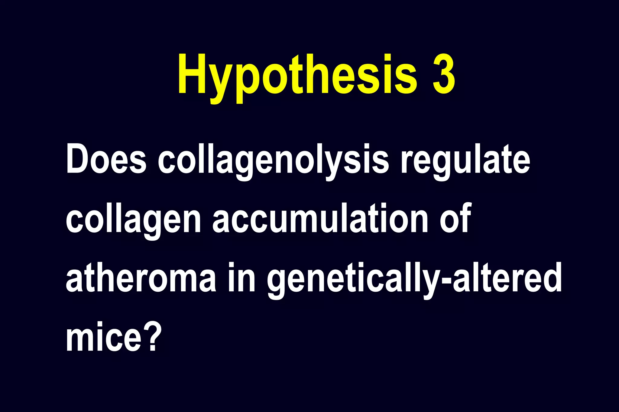 Hypothesis 3
Does collagenolysis regulate
collagen accumulation of
atheroma in genetically-altered
mice?
 