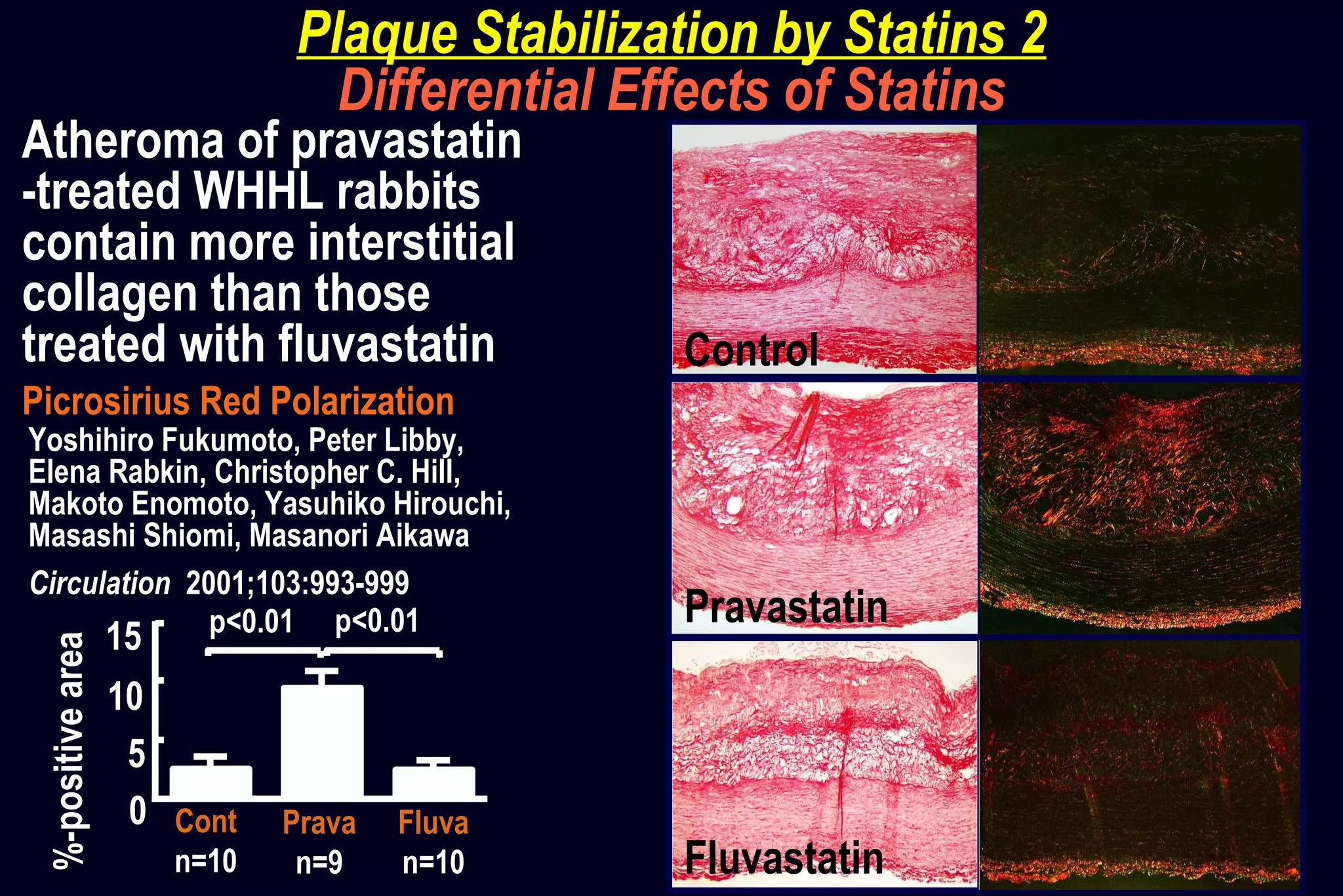 Picrosirius Red Polarization
Atheroma of pravastatin
-treated WHHL rabbits
contain more interstitial
collagen than those
treated with fluvastatin
Yoshihiro Fukumoto, Peter Libby,
Elena Rabkin, Christopher C. Hill,
Makoto Enomoto, Yasuhiko Hirouchi,
Masashi Shiomi, Masanori Aikawa
Circulation 2001;103:993-999
Control
Pravastatin
Fluvastatin
Cont
n=10
Prava
n=9
Fluva
n=10
0
5
10
15 p<0.01 p<0.01
%-positivearea
Plaque Stabilization by Statins 2
Differential Effects of Statins
 