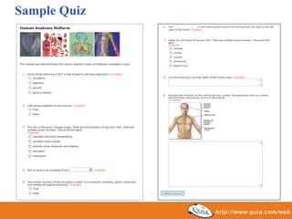 Sample Quiz
 