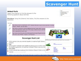 Scavenger Hunt 