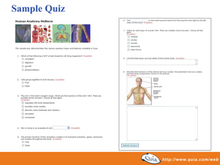 Sample Quiz 