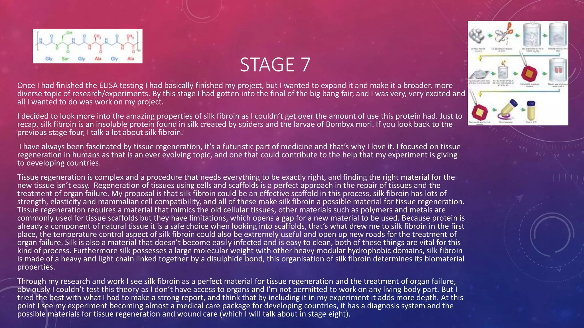 STAGE 7
Once I had finished the ELISA testing I had basically finished my project, but I wanted to expand it and make it a broader, more
diverse topic of research/experiments. By this stage I had gotten into the final of the big bang fair, and I was very, very excited and
all I wanted to do was work on my project.
I decided to look more into the amazing properties of silk fibroin as I couldn’t get over the amount of use this protein had. Just to
recap, silk fibroin is an insoluble protein found in silk created by spiders and the larvae of Bombyx mori. If you look back to the
previous stage four, I talk a lot about silk fibroin.
I have always been fascinated by tissue regeneration, it’s a futuristic part of medicine and that’s why I love it. I focused on tissue
regeneration in humans as that is an ever evolving topic, and one that could contribute to the help that my experiment is giving
to developing countries.
Tissue regeneration is complex and a procedure that needs everything to be exactly right, and finding the right material for the
new tissue isn’t easy. Regeneration of tissues using cells and scaffolds is a perfect approach in the repair of tissues and the
treatment of organ failure. My proposal is that silk fibroin could be an effective scaffold in this process, silk fibroin has lots of
strength, elasticity and mammalian cell compatibility, and all of these make silk fibroin a possible material for tissue regeneration.
Tissue regeneration requires a material that mimics the old cellular tissues, other materials such as polymers and metals are
commonly used for tissue scaffolds but they have limitations, which opens a gap for a new material to be used. Because protein is
already a component of natural tissue it is a safe choice when looking into scaffolds, that’s what drew me to silk fibroin in the first
place, the temperature control aspect of silk fibroin could also be extremely useful and open up new roads for the treatment of
organ failure. Silk is also a material that doesn’t become easily infected and is easy to clean, both of these things are vital for this
kind of process. Furthermore silk possesses a large molecular weight with other heavy modular hydrophobic domains, silk fibroin
is made of a heavy and light chain linked together by a disulphide bond, this organisation of silk fibroin determines its biomaterial
properties.
Through my research and work I see silk fibroin as a perfect material for tissue regeneration and the treatment of organ failure,
obviously I couldn’t test this theory as I don’t have access to organs and I’m not permitted to work on any living body part. But I
tried the best with what I had to make a strong report, and think that by including it in my experiment it adds more depth. At this
point I see my experiment becoming almost a medical care package for developing countries, it has a diagnosis system and the
possible materials for tissue regeneration and wound care (which I will talk about in stage eight).
 