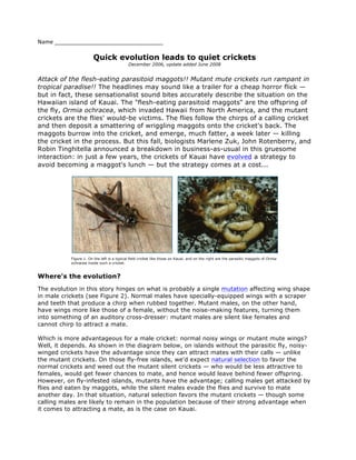 Name	
  __________________________________	
  

Quick evolution leads to quiet crickets
December 2006, update added June 2008

Attack of the flesh-eating parasitoid maggots!! Mutant mute crickets run rampant in
tropical paradise!! The headlines may sound like a trailer for a cheap horror flick —
but in fact, these sensationalist sound bites accurately describe the situation on the
Hawaiian island of Kauai. The "flesh-eating parasitoid maggots" are the offspring of
the fly, Ormia ochracea, which invaded Hawaii from North America, and the mutant
crickets are the flies' would-be victims. The flies follow the chirps of a calling cricket
and then deposit a smattering of wriggling maggots onto the cricket's back. The
maggots burrow into the cricket, and emerge, much fatter, a week later — killing
the cricket in the process. But this fall, biologists Marlene Zuk, John Rotenberry, and
Robin Tinghitella announced a breakdown in business-as-usual in this gruesome
interaction: in just a few years, the crickets of Kauai have evolved a strategy to
avoid becoming a maggot's lunch — but the strategy comes at a cost...

Figure 1. On the left is a typical field cricket like those on Kauai, and on the right are the parasitic maggots of Ormia
ochracea inside such a cricket.

Where's the evolution?
The evolution in this story hinges on what is probably a single mutation affecting wing shape
in male crickets (see Figure 2). Normal males have specially-equipped wings with a scraper
and teeth that produce a chirp when rubbed together. Mutant males, on the other hand,
have wings more like those of a female, without the noise-making features, turning them
into something of an auditory cross-dresser: mutant males are silent like females and
cannot chirp to attract a mate.
Which is more advantageous for a male cricket: normal noisy wings or mutant mute wings?
Well, it depends. As shown in the diagram below, on islands without the parasitic fly, noisywinged crickets have the advantage since they can attract mates with their calls — unlike
the mutant crickets. On those fly-free islands, we'd expect natural selection to favor the
normal crickets and weed out the mutant silent crickets — who would be less attractive to
females, would get fewer chances to mate, and hence would leave behind fewer offspring.
However, on fly-infested islands, mutants have the advantage; calling males get attacked by
flies and eaten by maggots, while the silent males evade the flies and survive to mate
another day. In that situation, natural selection favors the mutant crickets — though some
calling males are likely to remain in the population because of their strong advantage when
it comes to attracting a mate, as is the case on Kauai.

 