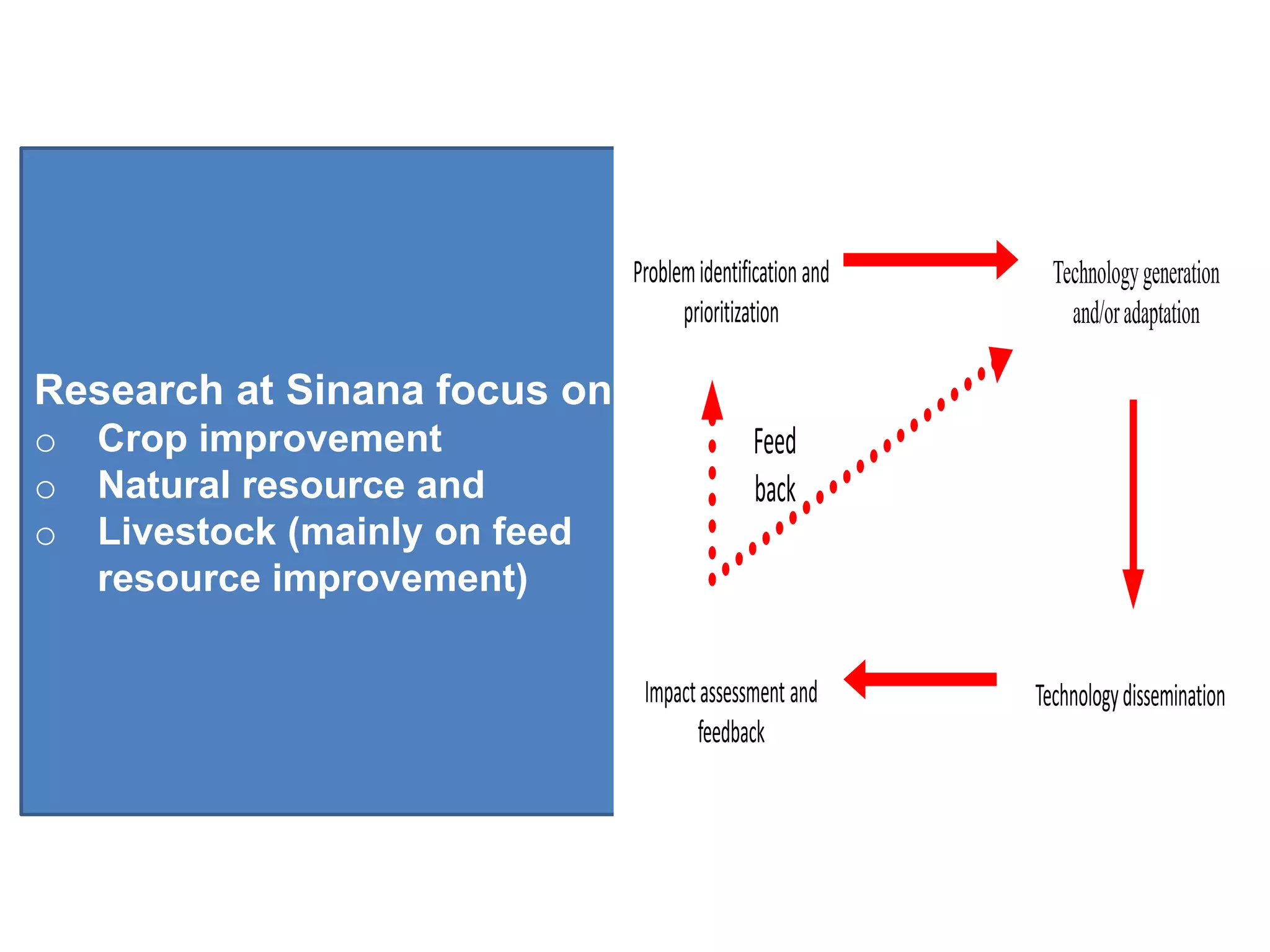 Problem identification and     Technology generation
                                      prioritization             and/or adaptation

Research at Sinana focus on
o   Crop improvement                           Feed
o   Natural resource and                       back
o   Livestock (mainly on feed
    resource improvement)

                                 Impact assessment and       Technology dissemination
                                       feedback
 
