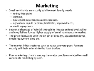 Marketing
• Small ruminants are usually sold to meet family needs
    –   to buy food grains
    –   clothing,
    –   house hold miscellaneous petty expenses,
    –   agricultural in puts (fertilizer, herbicides, improved seeds,
    –   credit repayments
• Seasonal shortage of rainfall through its impact on feed availability
  and crop failure forces higher supply of small ruminants to market.
• The price fluctuates with the on set of drought, season (holidays),
  credit repayment time etc.

• The market infrastructures such as roads are very poor. Farmers
  usually sell their animals to the local traders

• Poor marketing chain is among the major problems related to small
  ruminants marketing system.
 