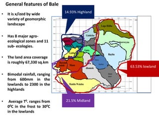 General features of Bale
                                    14.93% Highland
•   It is x/ized by wide
    variety of geomorphic
    landscape                                                               Laga Hidha


•   Has 8 major agro-                                     Gololcha
                                             Gassara
    ecological zones and 11        Agarfa                                                  Sawweyna
                                                            Gindhir
    sub- ecologies.                  Dinsho -Dinsho
                                        Sinana Sinana
                                                        Go
                                                         Goro
                                        Gobba           ro
                                                                                  Rayitu
•   The land area coverage                  Barbare
                                                                     Dawe
    is roughly 67,330 sq.km     Harana                   Gurra          kachen
                                    Mana Angetu
                                buluk    Mana
                                                             -
                                                          dhamole                                     63.53% lowland
•   Bimodal rainfall, ranging                                                     Dawe
                                                                                  serer
    from 600mm in the
    lowlands to 2300 in the             Madda Walabu

    highlands

•    Average T0. ranges from          21.5% Midland
    00C in the frost to 300C
    in the lowlands
 