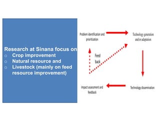 Problem identification and     Technology generation
                                      prioritization             and/or adaptation

Research at Sinana focus on
o   Crop improvement                           Feed
o   Natural resource and                       back
o   Livestock (mainly on feed
    resource improvement)

                                 Impact assessment and       Technology dissemination
                                       feedback
 