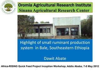 Oromia Agricultural Research Institute
             Sinana Agricultural Research Center




               Highlight of small ruminant production
               system in Bale, Southeastern Ethiopia

                                  Dawit Abate
Africa-RISING Quick Feed Project Inception Workshop, Addis Ababa, 7-8 May 2012
 