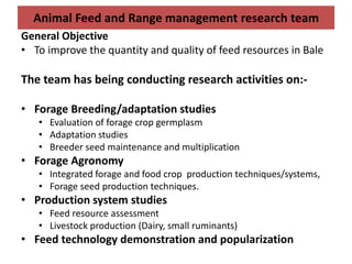 Highlight of small ruminant production system  in Bale, Southeastern Ethiopia