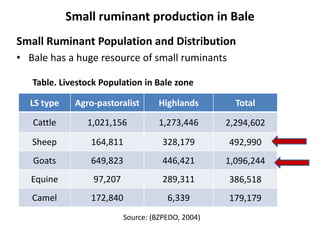 Highlight of small ruminant production system  in Bale, Southeastern Ethiopia
