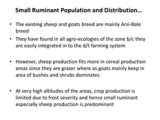 Highlight of small ruminant production system  in Bale, Southeastern Ethiopia