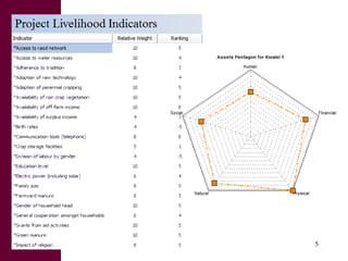 A sustainable livelihoods approach for the Africa-RISING ‘Quick Feed’ project in Ethiopia