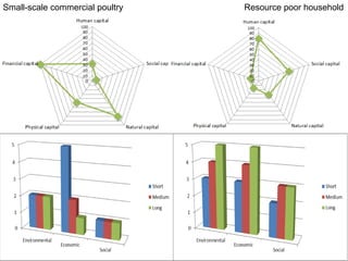 A sustainable livelihoods approach for the Africa-RISING ‘Quick Feed’ project in Ethiopia