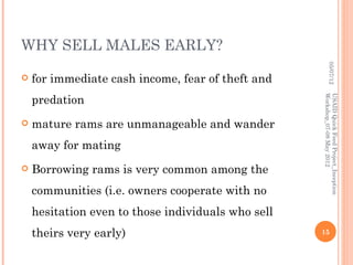 WHY SELL MALES EARLY?




                                                             05/07/12
   for immediate cash income, fear of theft and
    predation




                                                    Workshop_07-08 May 2012
                                                    USAID Quick Feed Project_Inception
   mature rams are unmanageable and wander
    away for mating
   Borrowing rams is very common among the
    communities (i.e. owners cooperate with no
    hesitation even to those individuals who sell
    theirs very early)                              15
 