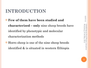 INTRODUCTION




                                                            05/07/12
   Few of them have been studied and
    characterized – only nine sheep breeds have




                                                   Workshop_07-08 May 2012
                                                   USAID Quick Feed Project_Inception
    identified by phenotypic and molecular
    characterization methods
   Horro sheep is one of the nine sheep breeds
    identified & is situated in western Ethiopia


                                                   4
 