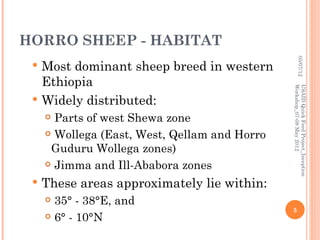 HORRO SHEEP - HABITAT




                                                        05/07/12
  Most dominant sheep breed in western
   Ethiopia




                                               Workshop_07-08 May 2012
                                               USAID Quick Feed Project_Inception
  Widely distributed:
      Parts of west Shewa zone
      Wollega (East, West, Qellam and Horro

      Guduru Wollega zones)
      Jimma and Ill-Ababora zones

    These areas approximately lie within:
      35° - 38°E, and
                                               5
      6° - 10°N
 