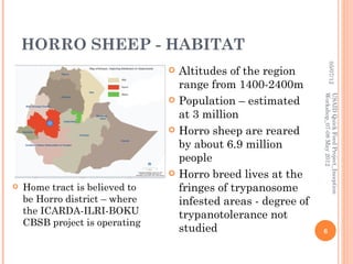 HORRO SHEEP - HABITAT




                                                                          05/07/12
                                   Altitudes of the region
                                    range from 1400-2400m




                                                                 Workshop_07-08 May 2012
                                                                 USAID Quick Feed Project_Inception
                                   Population – estimated
                                    at 3 million
                                   Horro sheep are reared
                                    by about 6.9 million
                                    people
                                   Horro breed lives at the
   Home tract is believed to       fringes of trypanosome
    be Horro district – where       infested areas - degree of
    the ICARDA-ILRI-BOKU            trypanotolerance not
    CBSB project is operating
                                    studied                      6
 