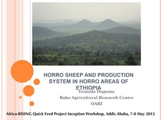 HORRO SHEEP AND PRODUCTION
                    SYSTEM IN HORRO AREAS OF
                             ETHIOPIA
                                      Gemeda Duguma
                            Bako Agricultural Research Center
                                            OARI

Africa-RISING Quick Feed Project Inception Workshop, Addis Ababa, 7-8 May 2012
 
