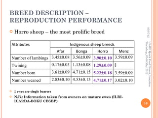 Horro sheep and production system in Horro areas of Ethiopia