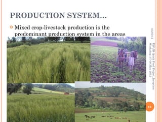 Horro sheep and production system in Horro areas of Ethiopia