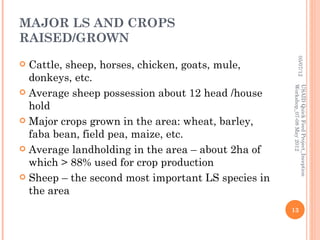 Horro sheep and production system in Horro areas of Ethiopia
