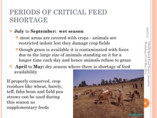 Horro sheep and production system in Horro areas of Ethiopia