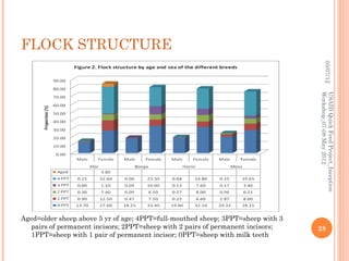Horro sheep and production system in Horro areas of Ethiopia