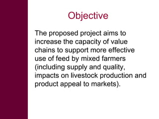 Introducing the ‘Quick Feeds’ project - Fodder and feed as a key opportunity to drive sustainable intensification of crop livestock systems in Ethiopia