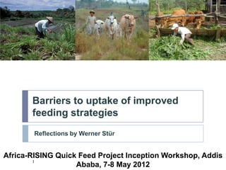 Barriers to uptake of improved
       feeding strategies
        Reflections by Werner Stür


Africa-RISING Quick Feed Pro...