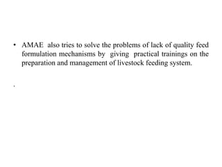 Dairy value chain actors and their roles and linkages in Arsi Highlands, Ethiopia