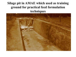 Dairy value chain actors and their roles and linkages in Arsi Highlands, Ethiopia