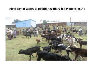 Dairy value chain actors and their roles and linkages in Arsi Highlands, Ethiopia