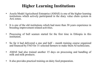 Dairy value chain actors and their roles and linkages in Arsi Highlands, Ethiopia