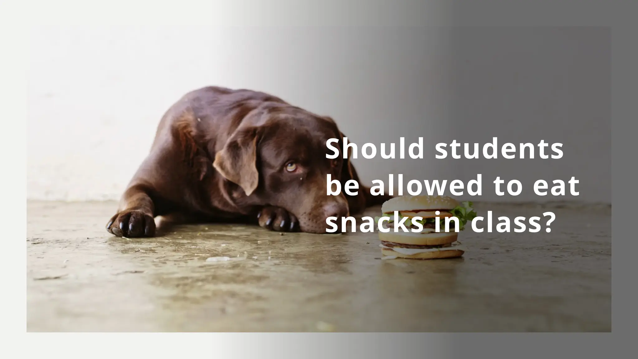 Quickfire C.E.R Writing Prompts for students of all ages | PPTX