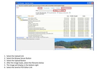 Select the Upload LinkSelect the Browse Server ButtonSelect the Upload ButtonAfter the image loads, select the filenamebelowThe Image will display in the bottom rightSelect the Send to FCK Editor Link
