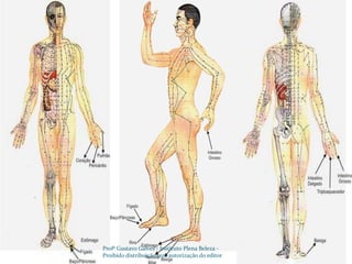 Profº Gustavo Galves - Instituto Plena Beleza - Proibido distribuição sem autorização do editor